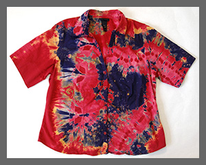 Fiesta buttondown blouse